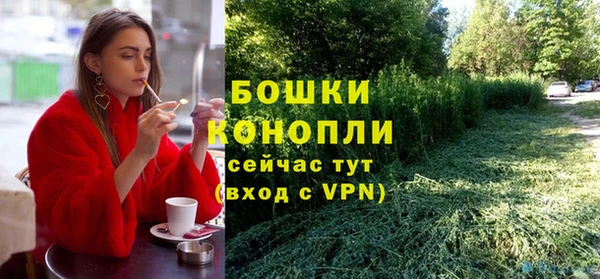 тгк Богданович