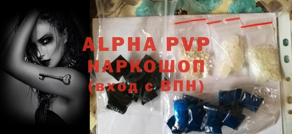СК Бородино