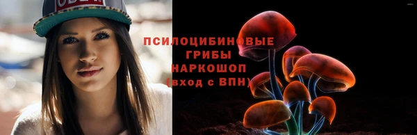 СК Бородино
