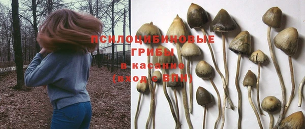 мдма Бронницы